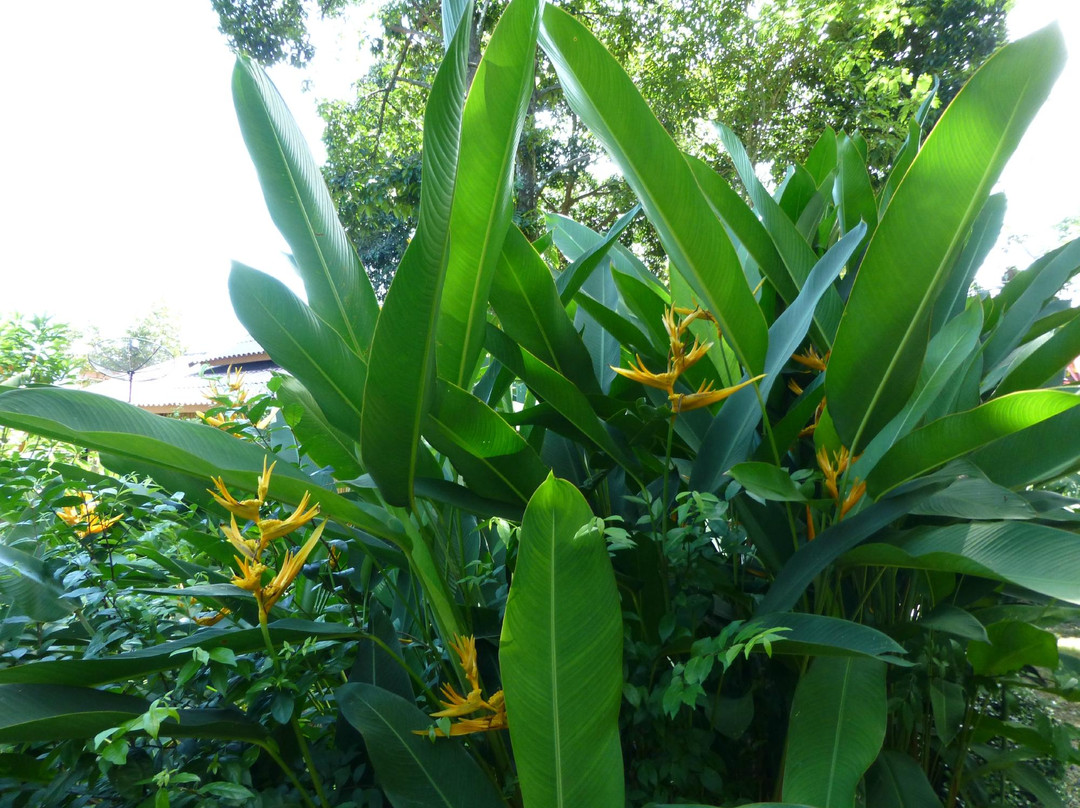 蝴蝶园与昆虫王国-塔林必去景点