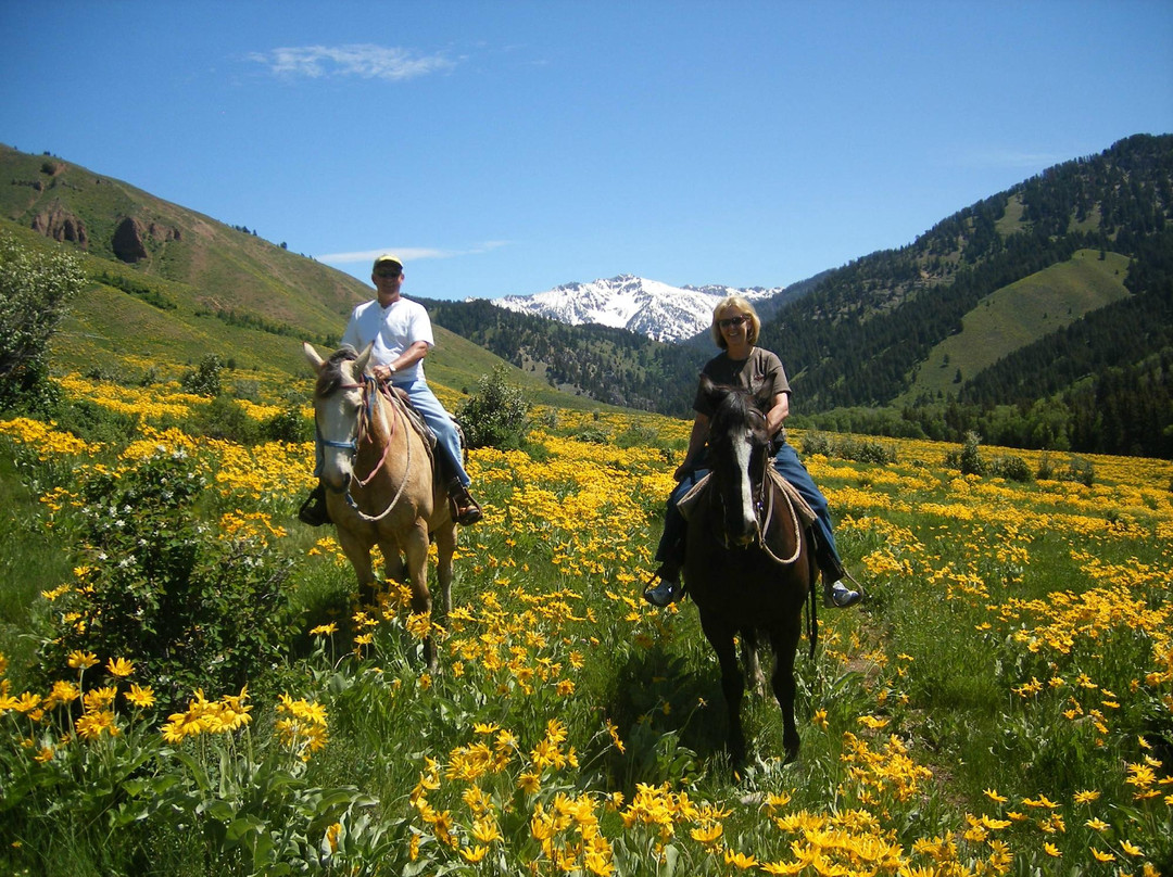 North Fork Trail Rides-杰克逊必去景点