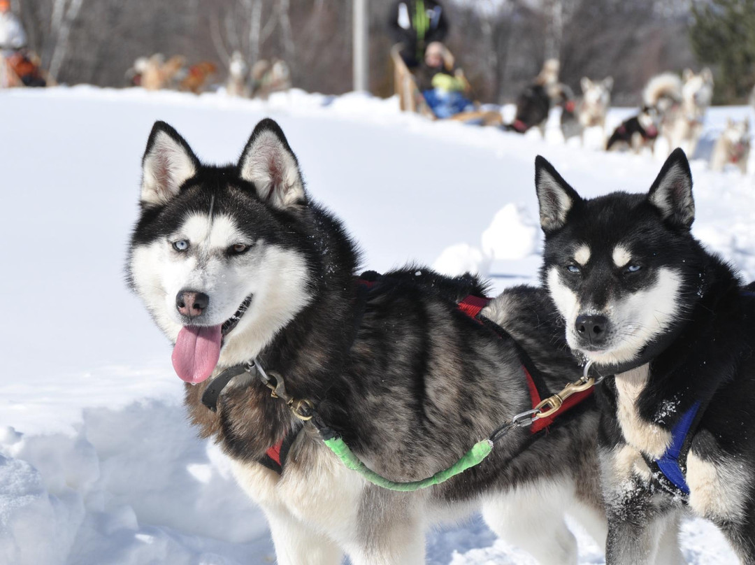 Aventure du Husky-Labelle必去景点