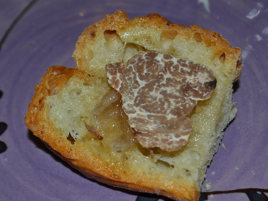 The Truffle Hunter-佛罗伦萨必去景点