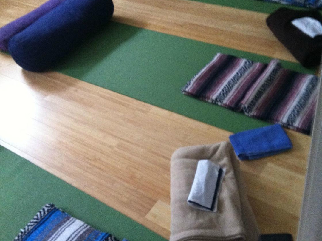 Back In Touch-Surf City必去景点