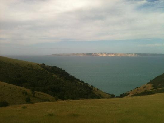 Dudley Wines-Penneshaw必去景点