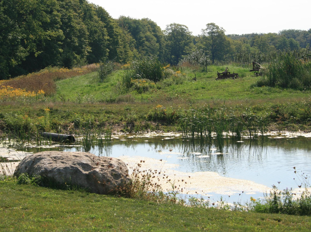 Spirit Tree Estate Cidery-卡利登必去景点