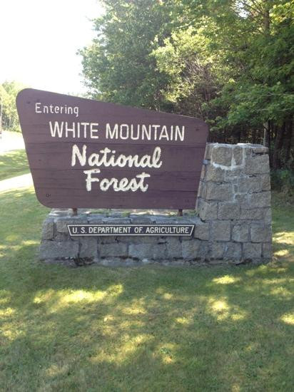 White Mountain National Forest景点图片