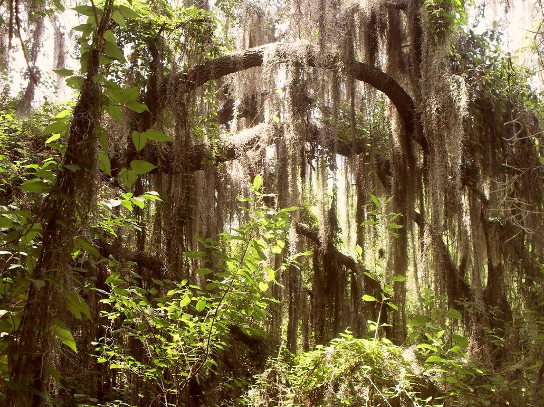 Withlacoochee State Trail景点图片