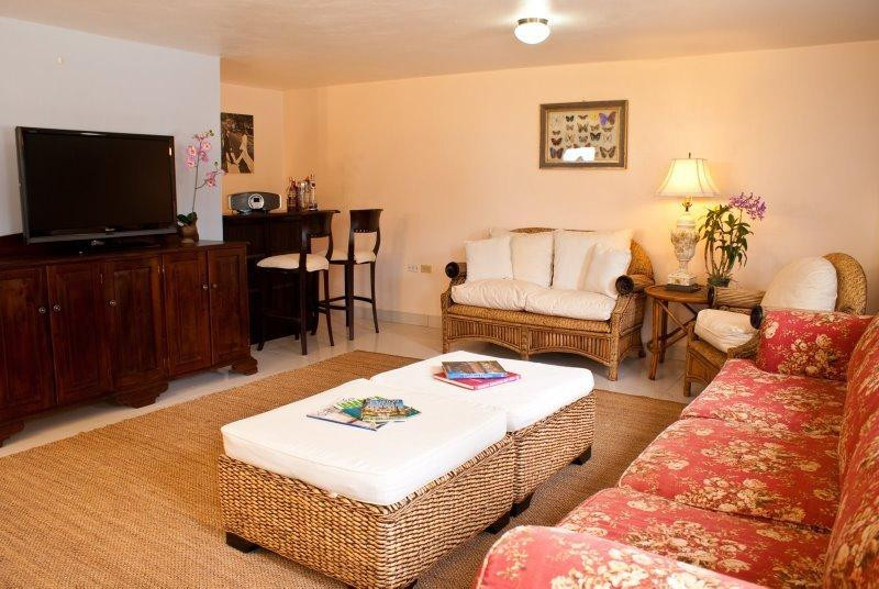 Birds Eye View主图