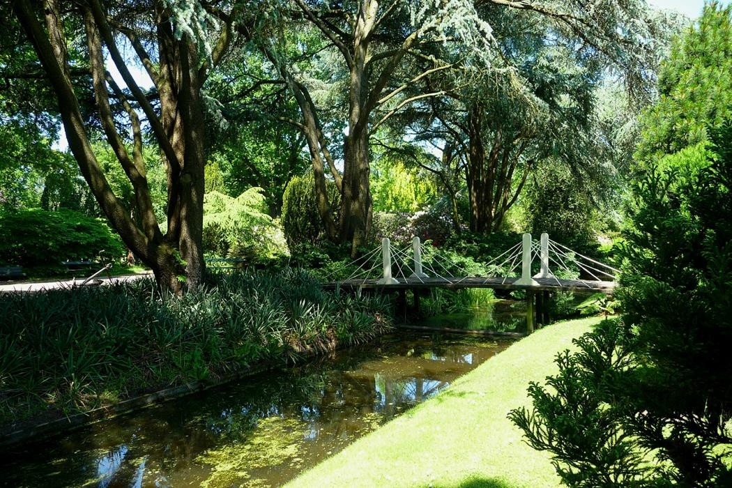 Taman Arboretum Trompenburg-鹿特丹必去景点
