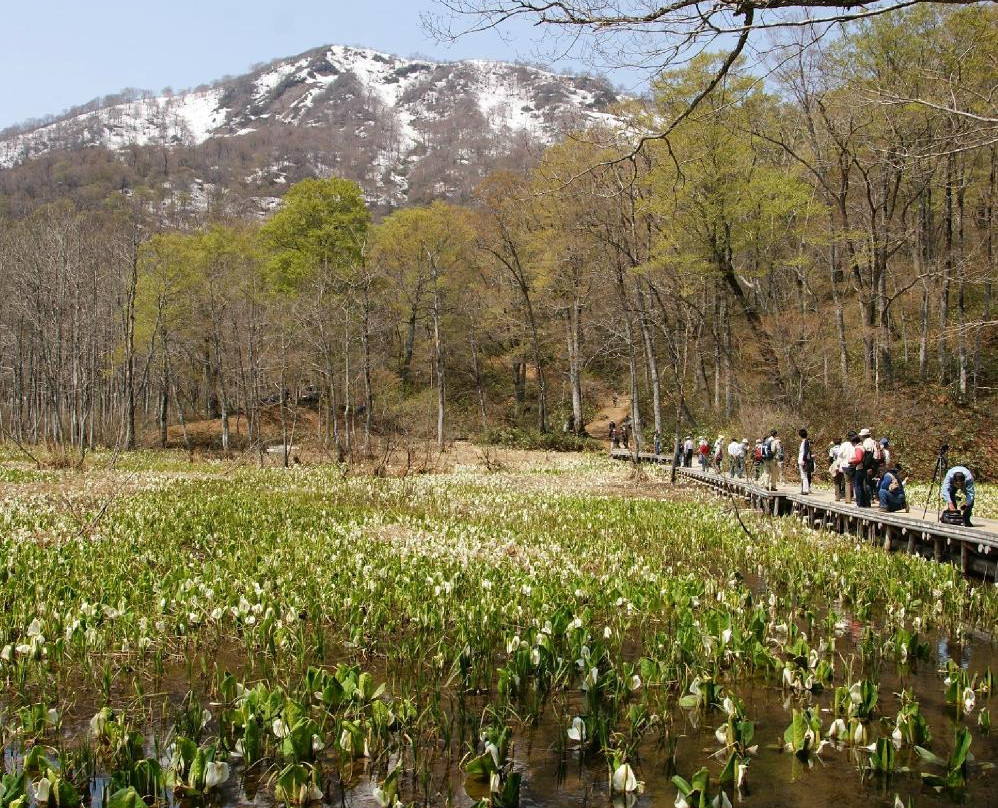 Okususobana Natural Garden-长野县必去景点