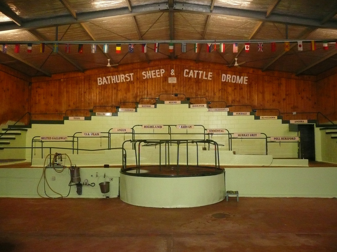 Bathurst Sheep and Cattle Show-巴瑟斯特必去景点