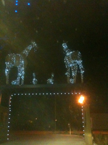 King Spa & Waterpark-达拉斯必去景点