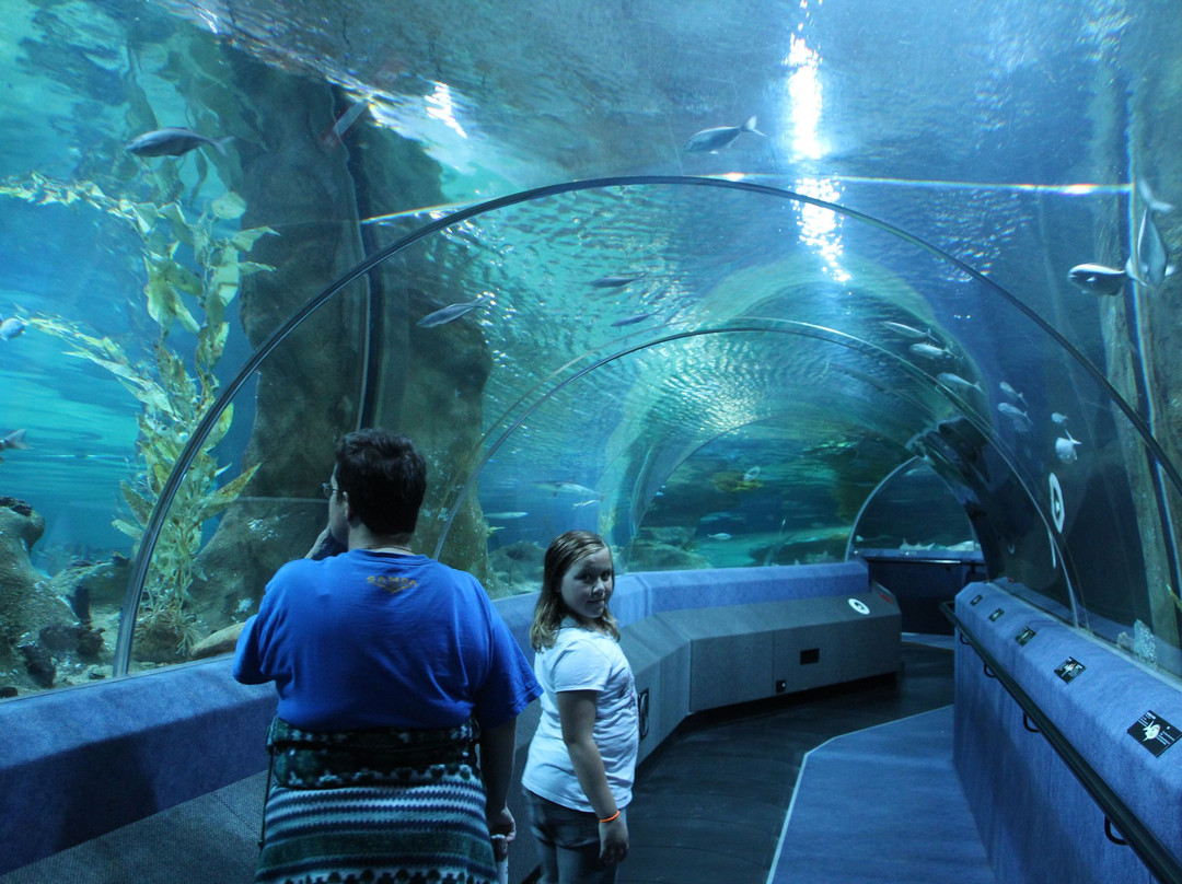 National Aquarium of New Zealand-纳皮尔必去景点