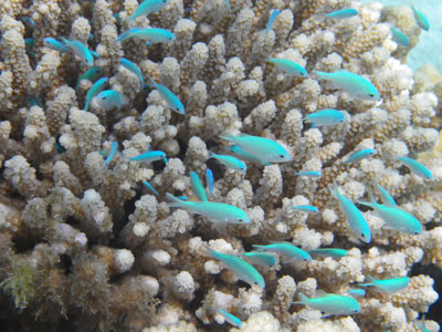 S2CLUB SAIPAN - Day Tours-塞班岛必去景点