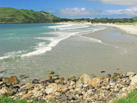 Aramoana Beach-但尼丁必去景点