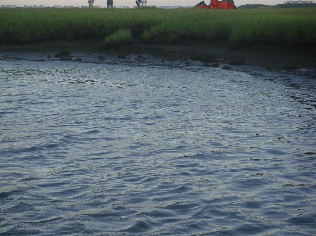 Leading Edge Kite School景点图片