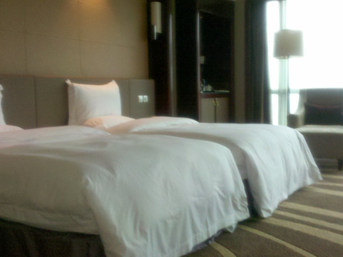 重庆世纪金源大饭店主图