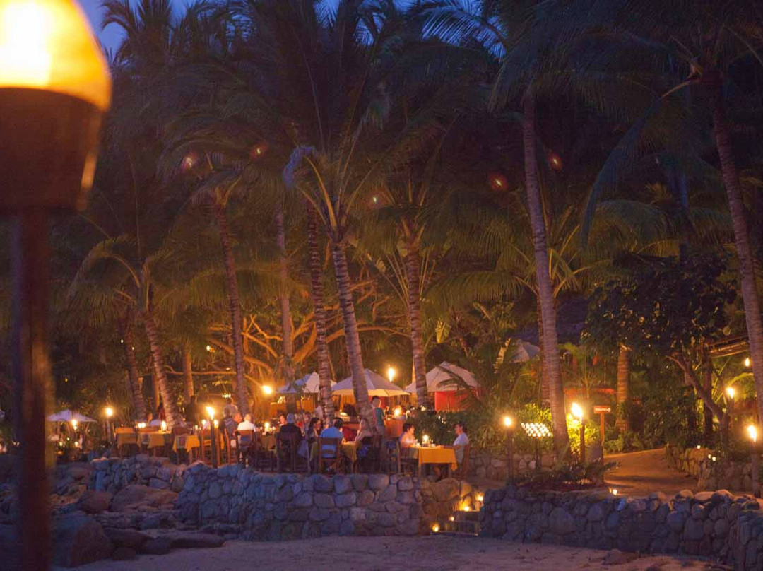 Rhythms of the Night by Vallarta Adventures-瓦拉塔港必去景点