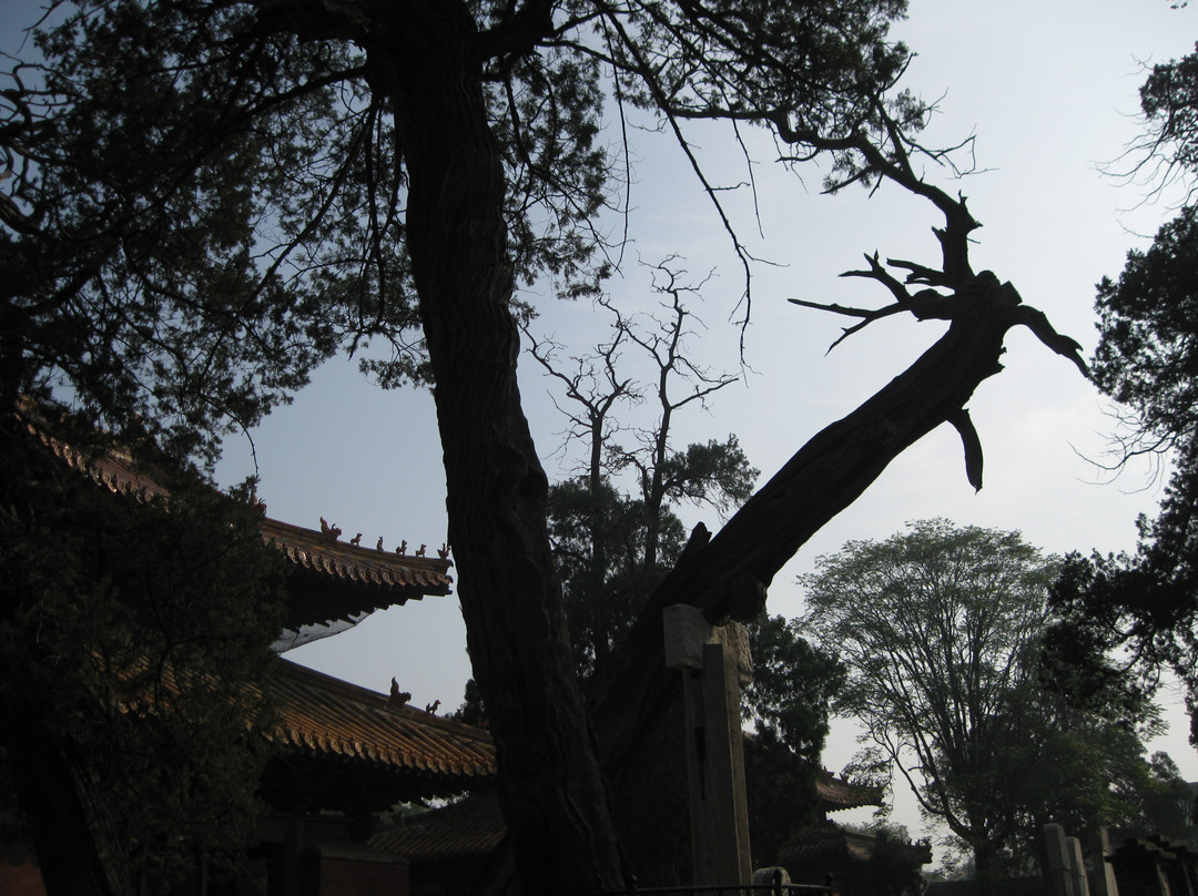 明故城三孔-曲阜市必去景点