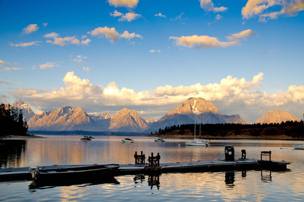 BrushBuck Wildlife Tours-杰克逊必去景点