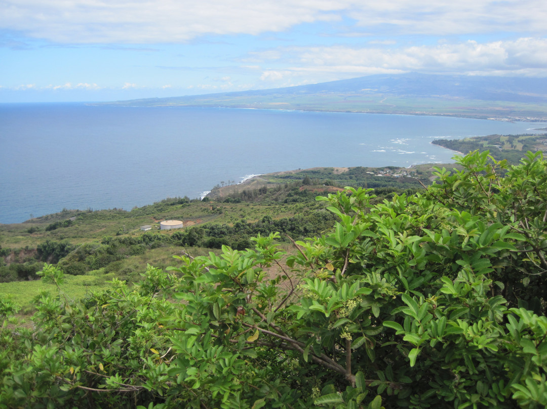 Open Eye Tours & Photos-毛伊岛必去景点