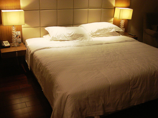 太阳花酒店主图