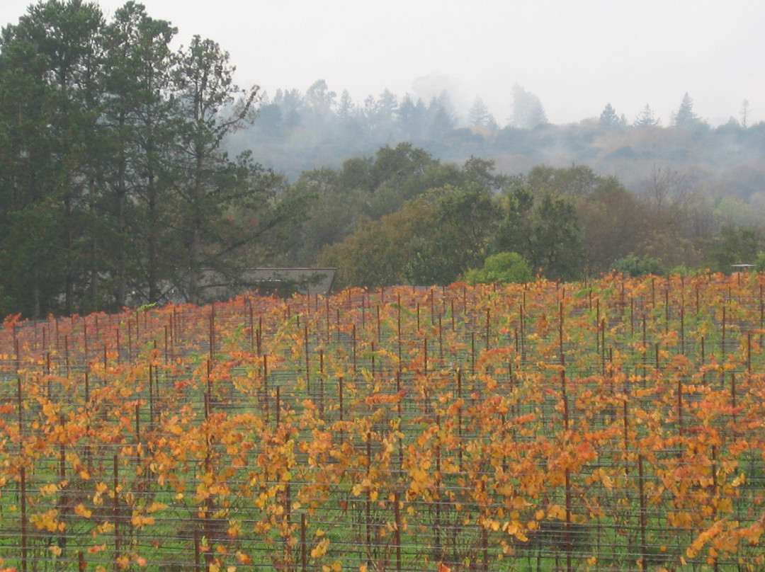 DeLoach Vineyards景点图片