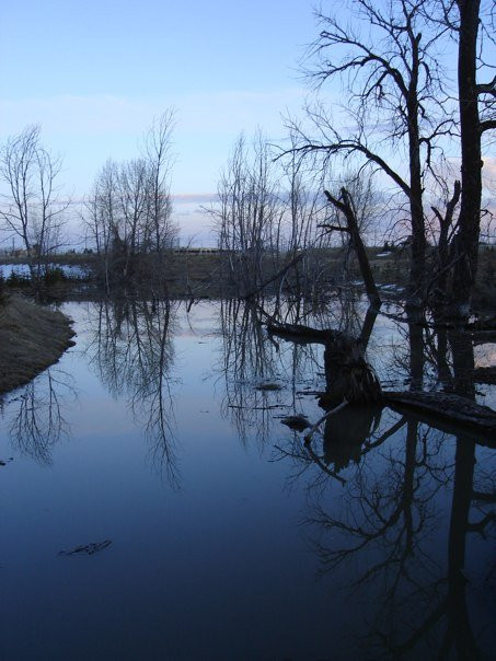 省立鱼溪公园-卡尔加里必去景点