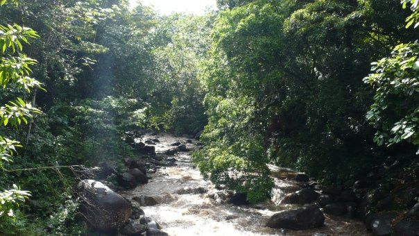 Guadeloupe National Park-Petit-Bourg必去景点