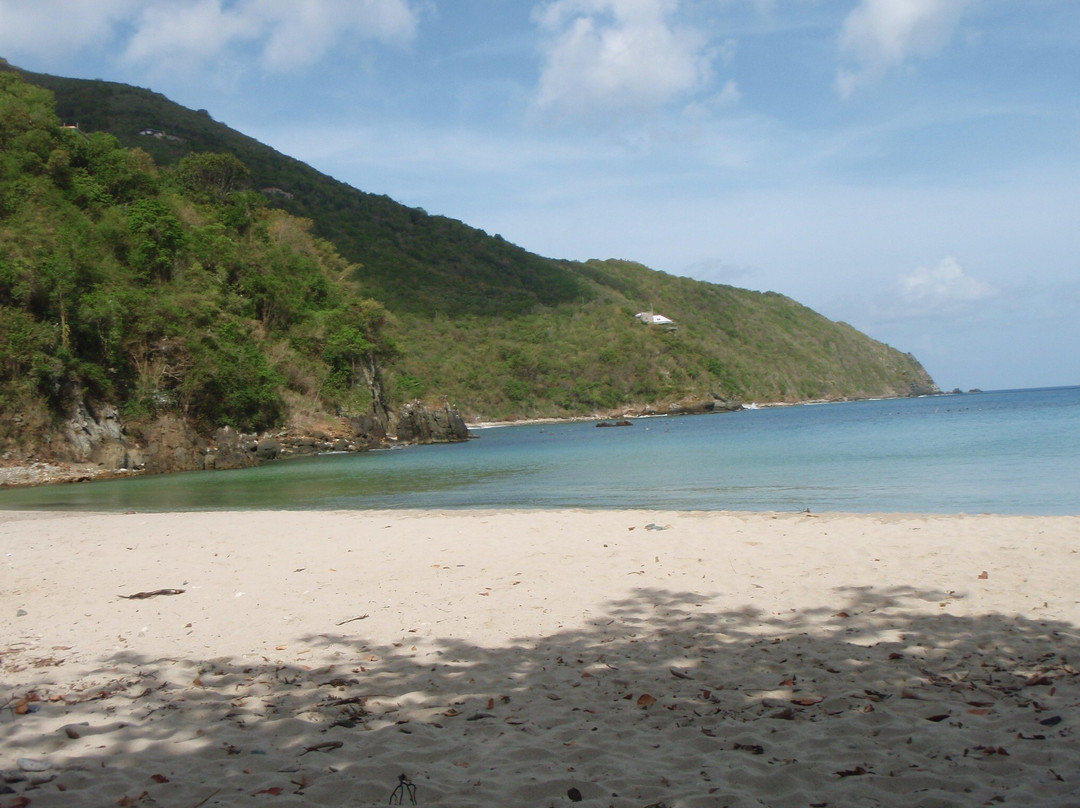 Brewers Bay-托土拉必去景点