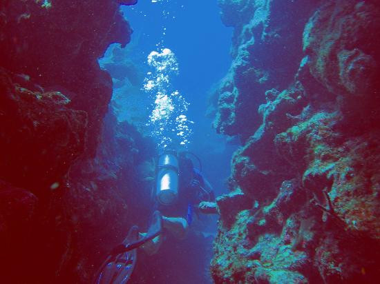 Ocean Frontiers-East End必去景点