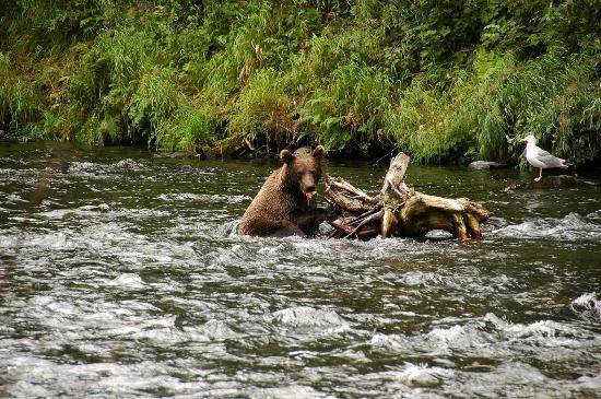 Russian River-基奈必去景点