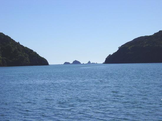 Whangaroa Harbour-Whangaroa必去景点