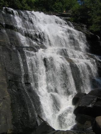 Horsepasture River and Nature Trails景点图片