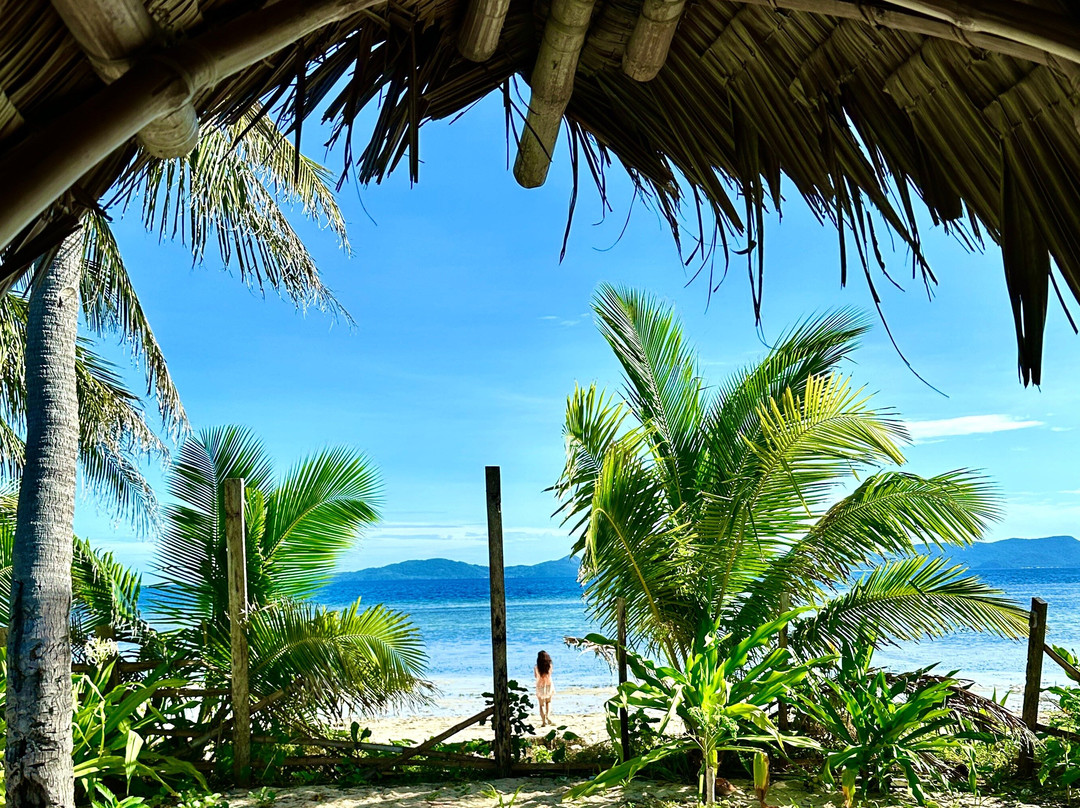 Palawan Expedition (El Nido - Linapacan - Coron or vice versa)景点图片