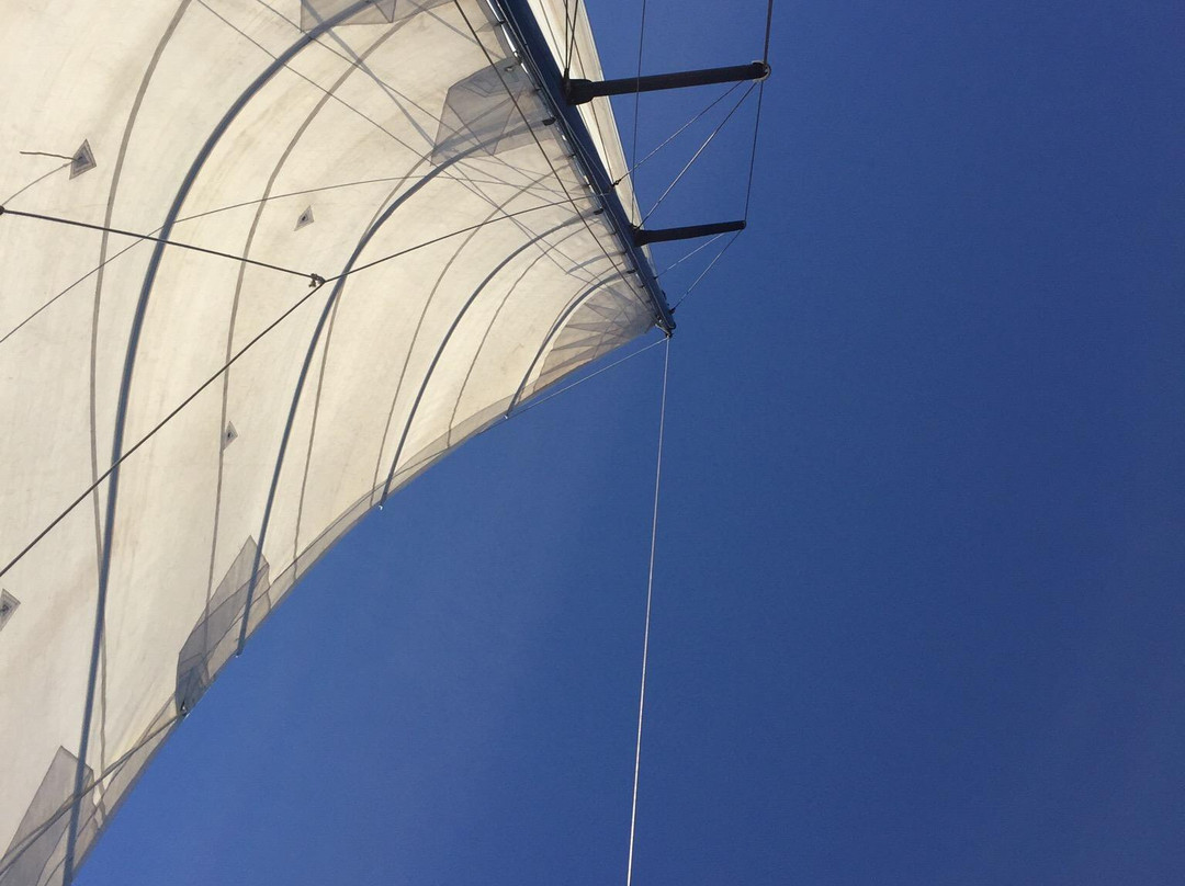 White Wing Sailing-Coral Bay必去景点