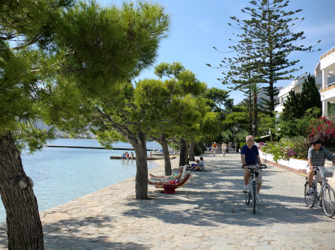 Paseo del Port de Pollenca-Pollenca必去景点