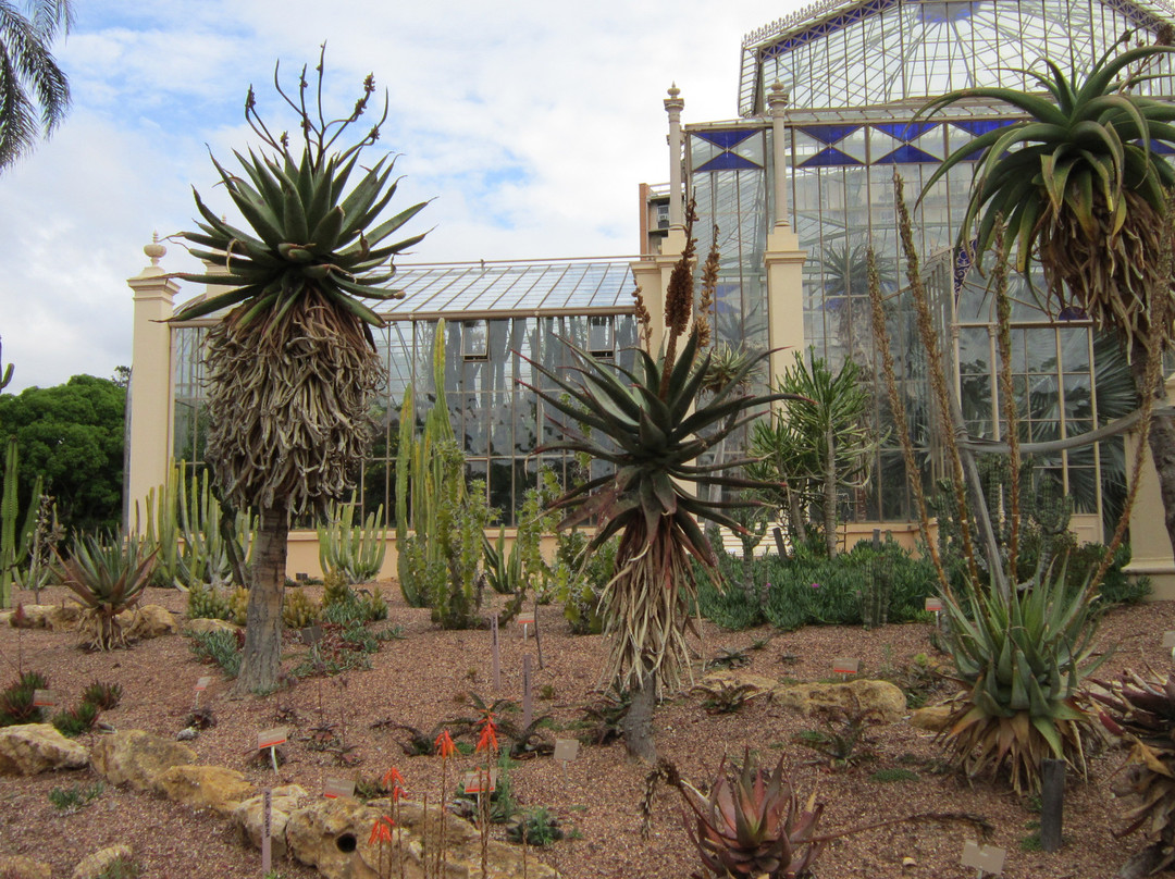 阿德莱德植物园-阿德莱德必去景点