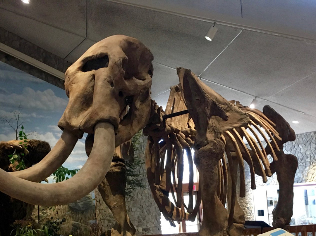 Mastodon State Historic Site景点图片