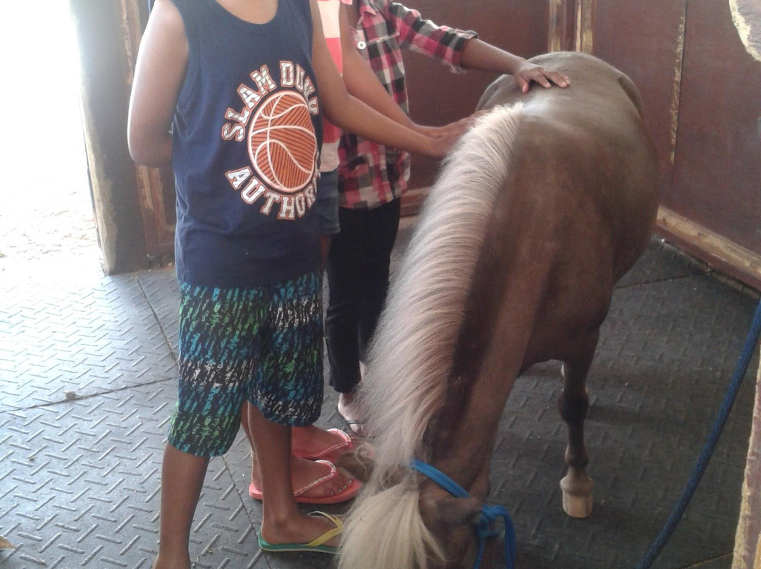 At YOUR Pace Private Tours-拿骚必去景点