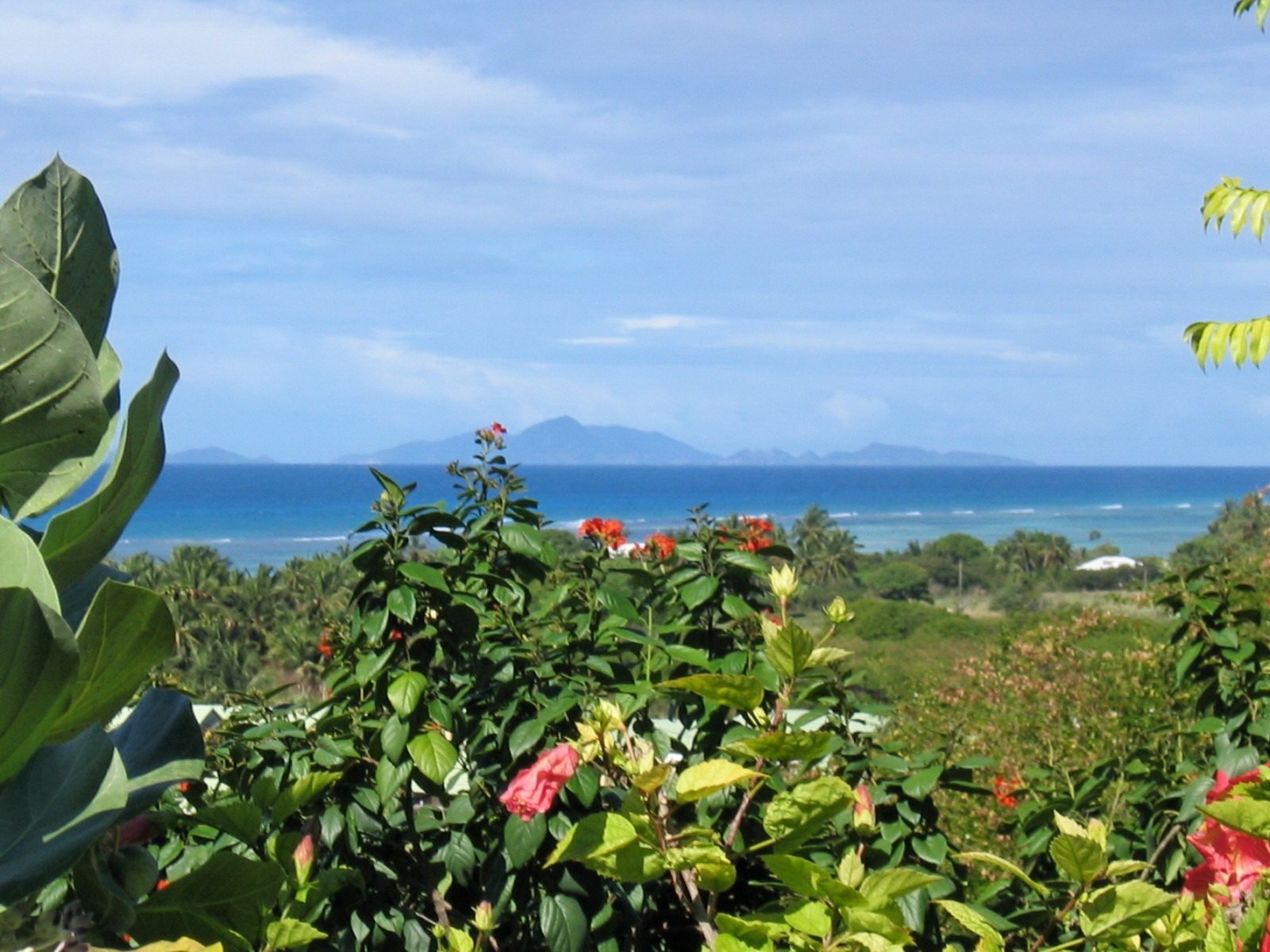Les Balcons de Passiflora-酒店景观