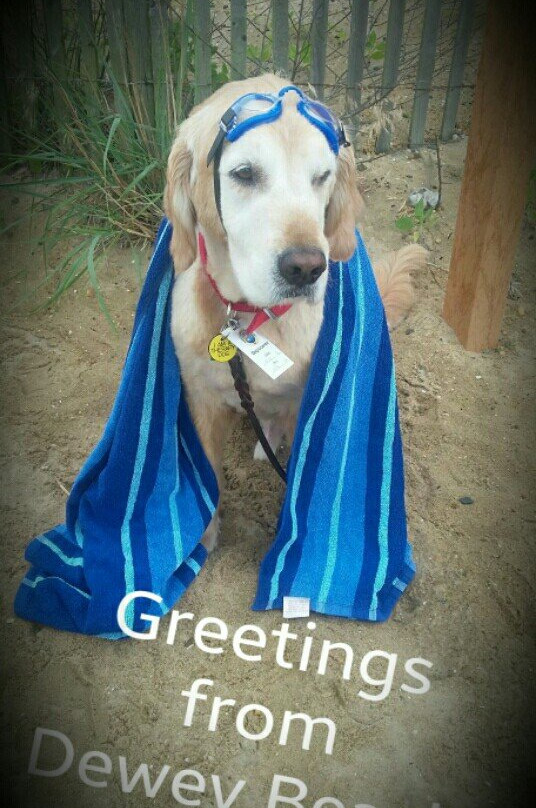 Indian River Inlet Bridge-Bethany Beach必去景点