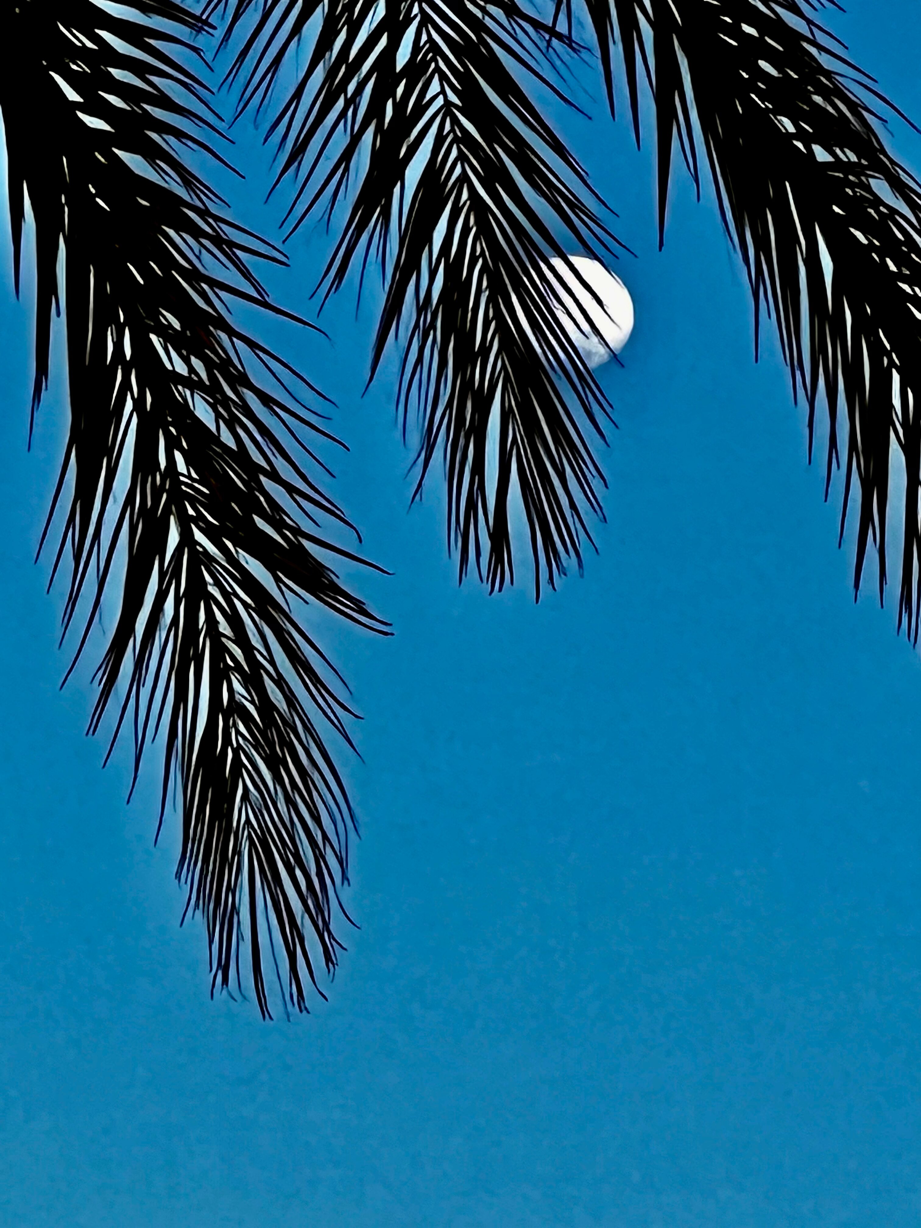 Comfort Inn & Suites Orlando North-浴室