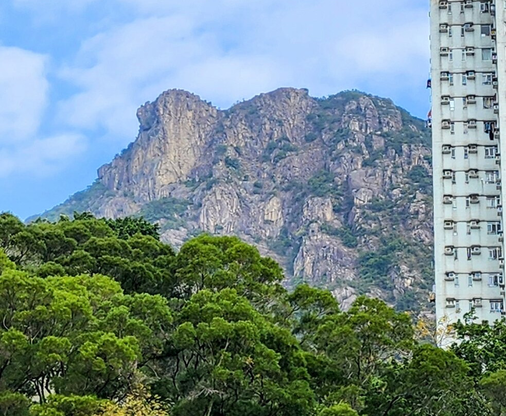 狮子山郊野公园-香港必去景点