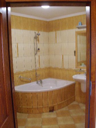 Hotel Zlota Iglica-浴室