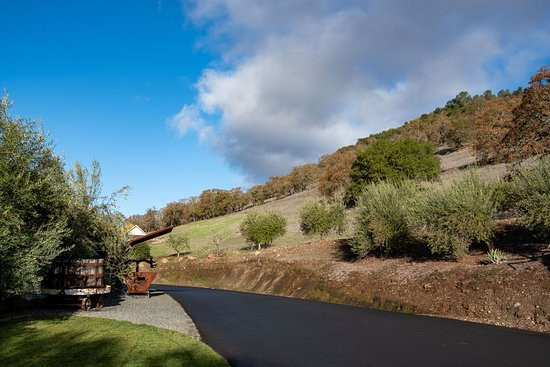 Piña Napa Valley景点图片