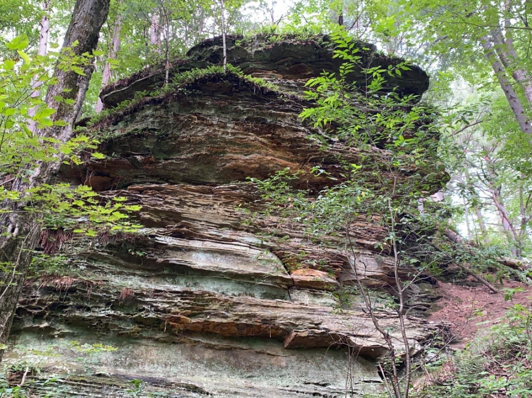 Rocky Arbor State Park-威斯康星峡谷必去景点