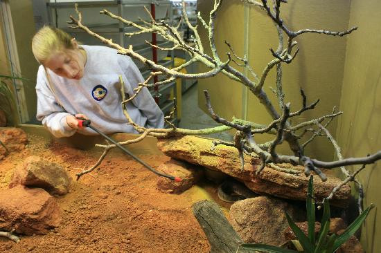 Oklahoma City Zoo and Botanical Garden-俄克拉何马城必去景点