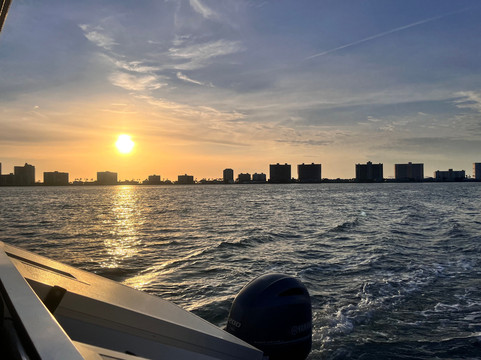 Encounters With Dolphins-克利尔沃特必去景点