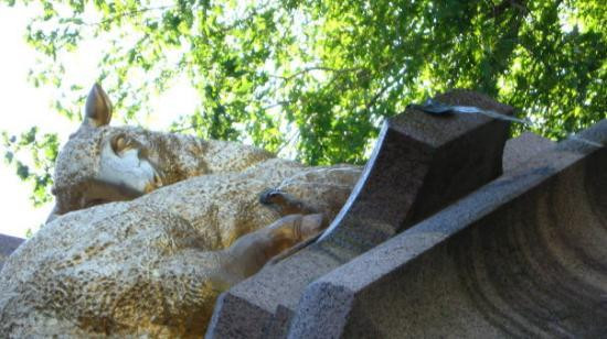 圣约瑟夫皇室山教堂-蒙特利尔必去景点