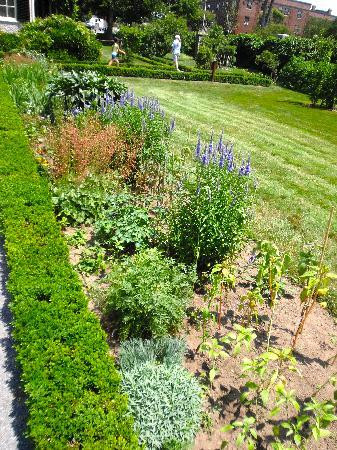 亚当国家历史公园-昆西必去景点