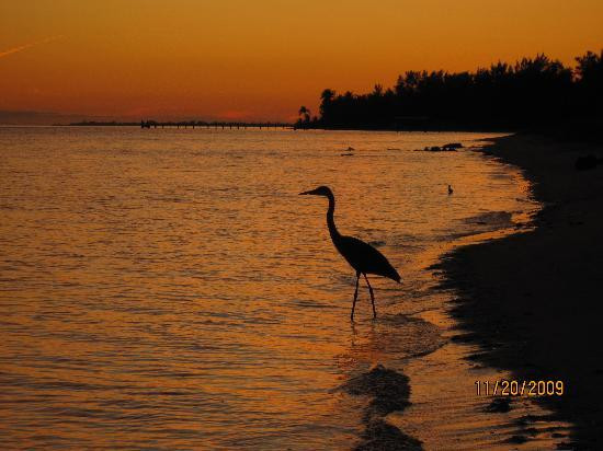 Long Key State Park-Layton必去景点